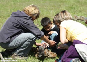 educ_docents1
