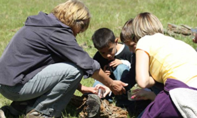 Field Trip Families Hike on the McKenzie