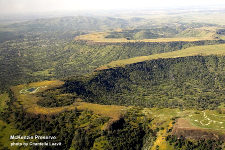 (FULL) Naturalist Series: Geology