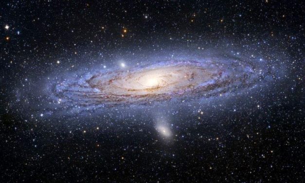 Naturalist Series: Astronomy