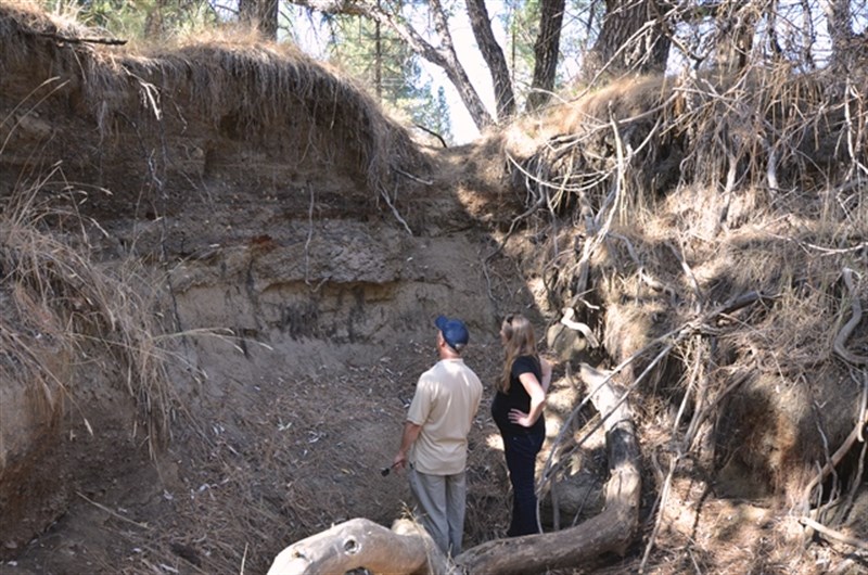 SFC begins the long awaited restoration of Bean Creek Meadow this week!