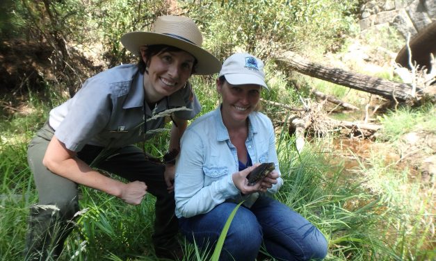 Western Pond Turtle Presentation on Stockton Creek