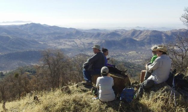 Black Mountain Summit Hike