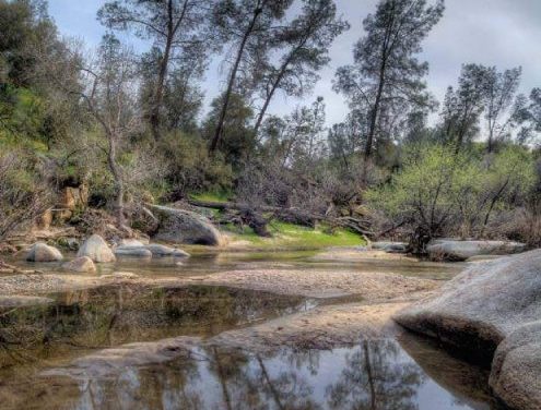 (CANCELLED) Senior Series: Fine Gold Creek Hike