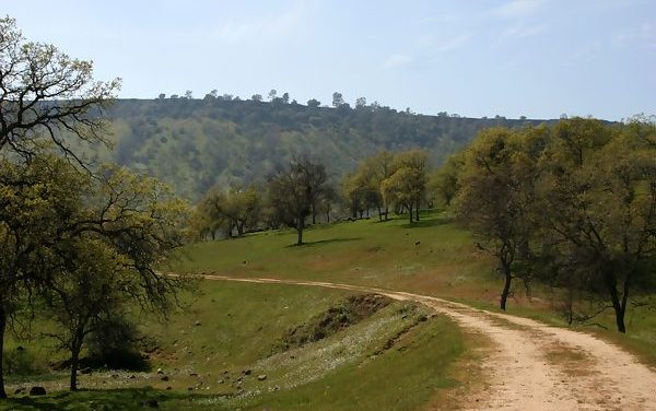 Family Hike on the McKenzie