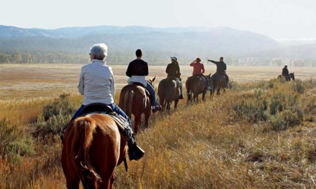 Trail Rides on the McKenzie (Noon Ride)