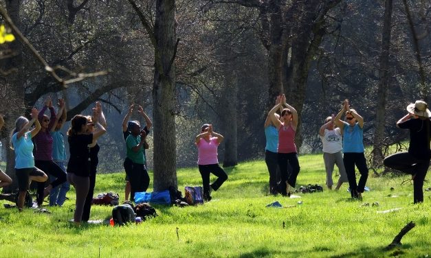 Yoga Under The Oaks