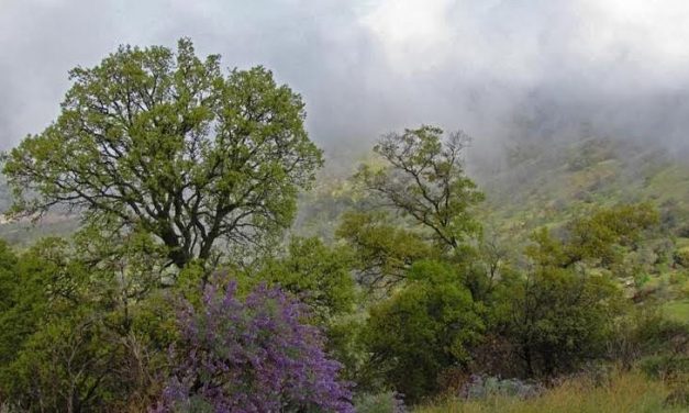 Stockton Creek Expansion Hike