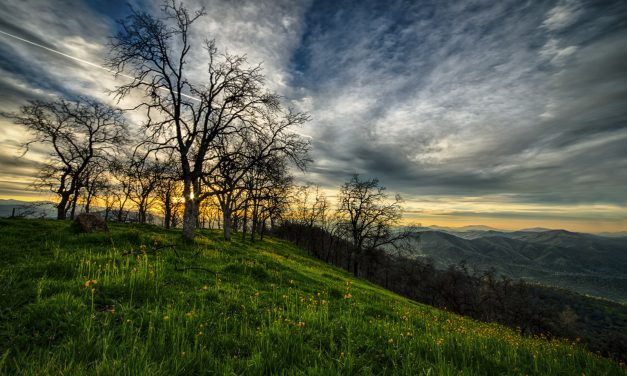 Senior Hiking Series: Black Mountain Hike