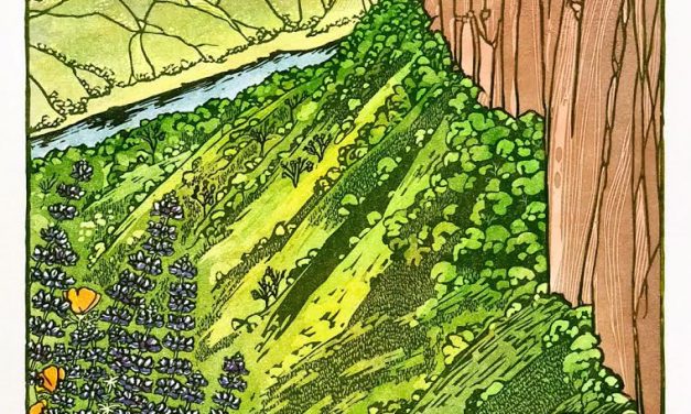 (FULL) New Years Resolution Series – Vernal Pool Hike