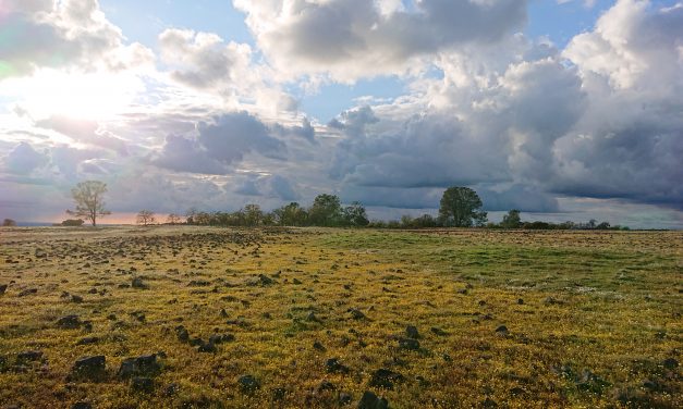 (FULL) Bowlin Gap Table Top Hike