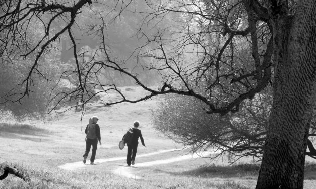 Meditation and Mindfulness