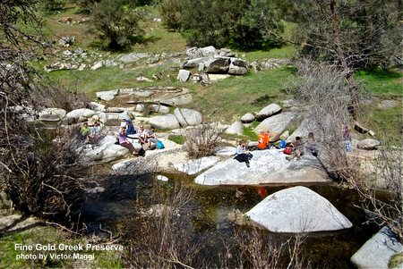 Fine Gold “Limited Access” Open Preserve Day
