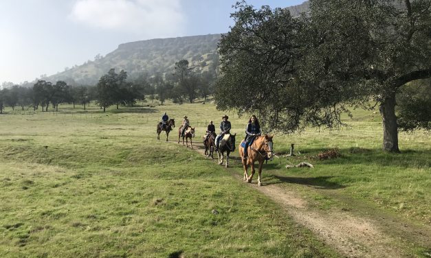 SJ&E Trail Ride on the McKenzie!