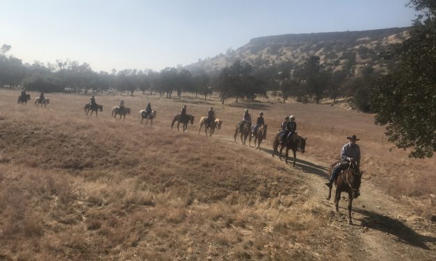 Arrastra Trail Ride on the McKenzie!
