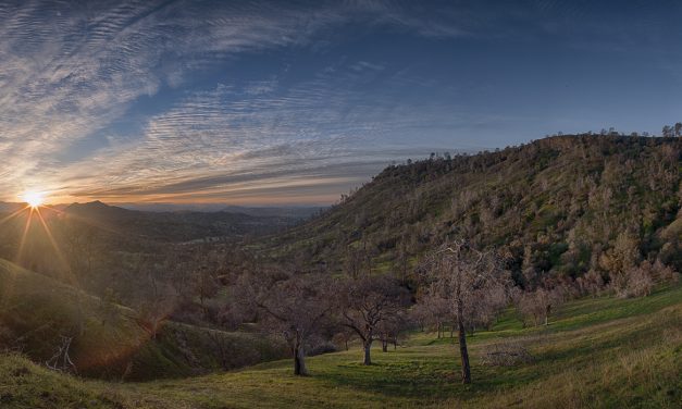 25th Anniversary Biology of the McKenzie
