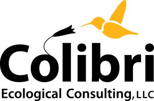 Colibri_hi-res logo