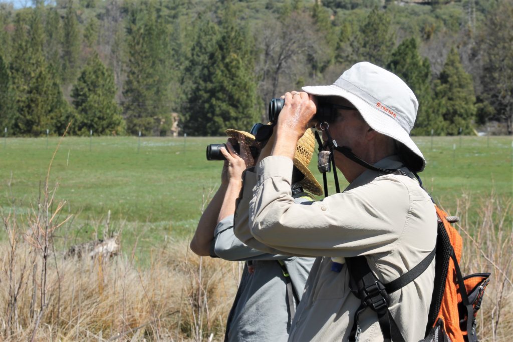 Sierra Foothill Conservancy | Saving Natural Lands Now and Forever